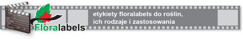 Etykiety