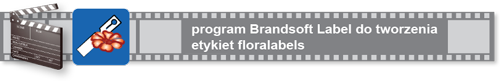 Program